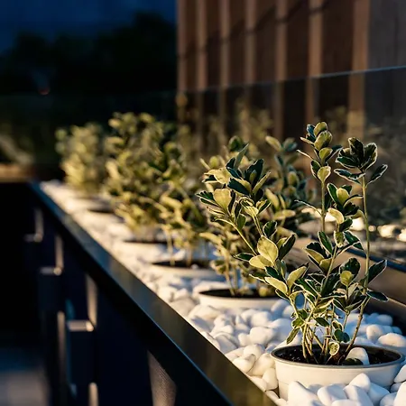 Mirabilis Boutique By Panel Hospitality فندق كالامباكا