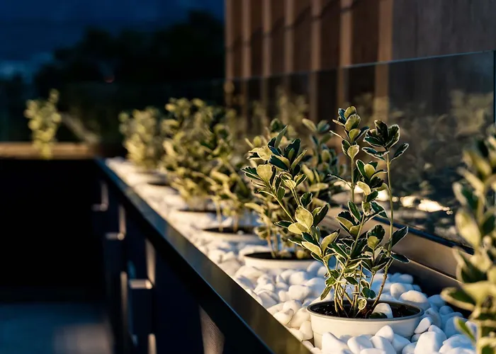 Mirabilis Boutique By Panel Hospitality 酒店 卡兰巴卡